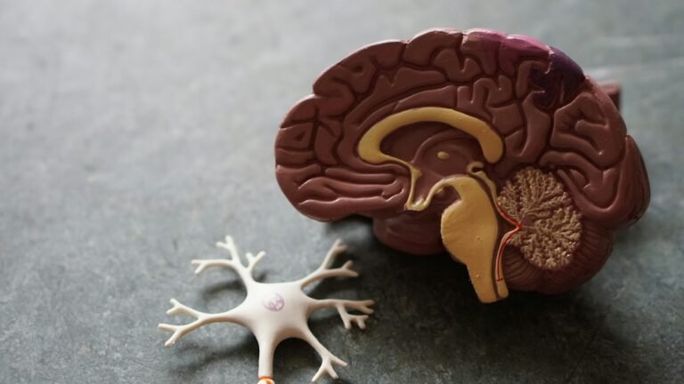 Microscopic neuro-imaging of microglial arborization, synaptic clefts, and astrocyte end-feet along the blood-brain barrier